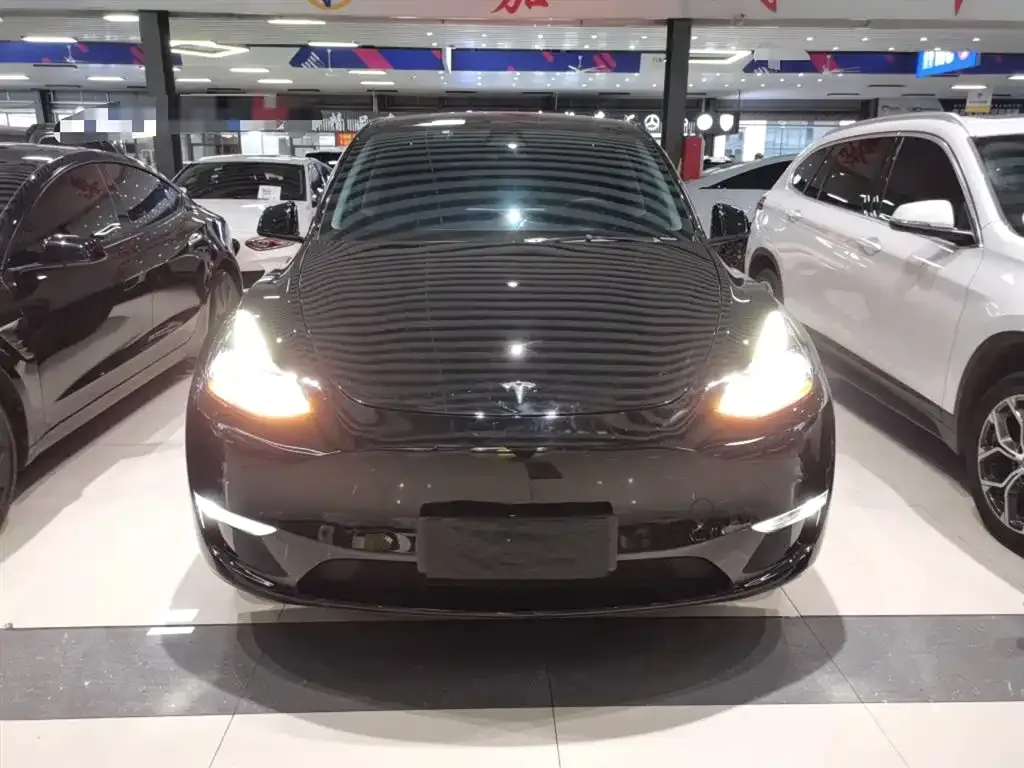 Tesla Model Y 2021 из CN, фото 3