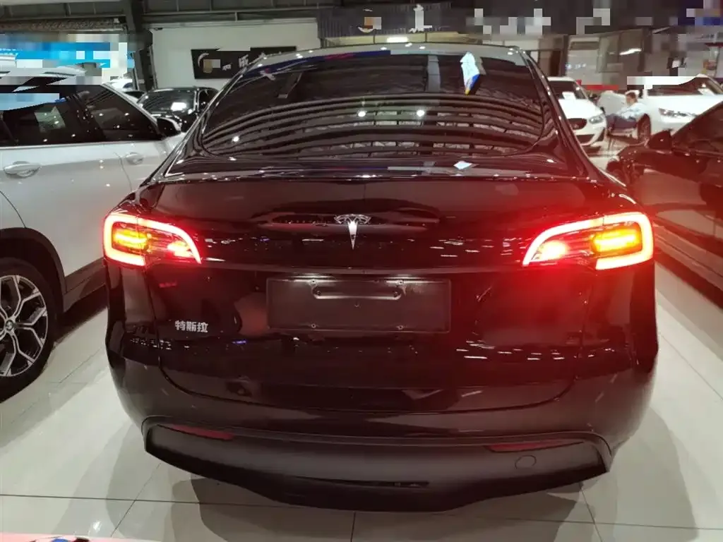 Tesla Model Y 2021 из CN, фото 6