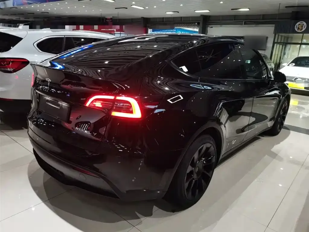 Tesla Model Y 2021 из CN, фото 7
