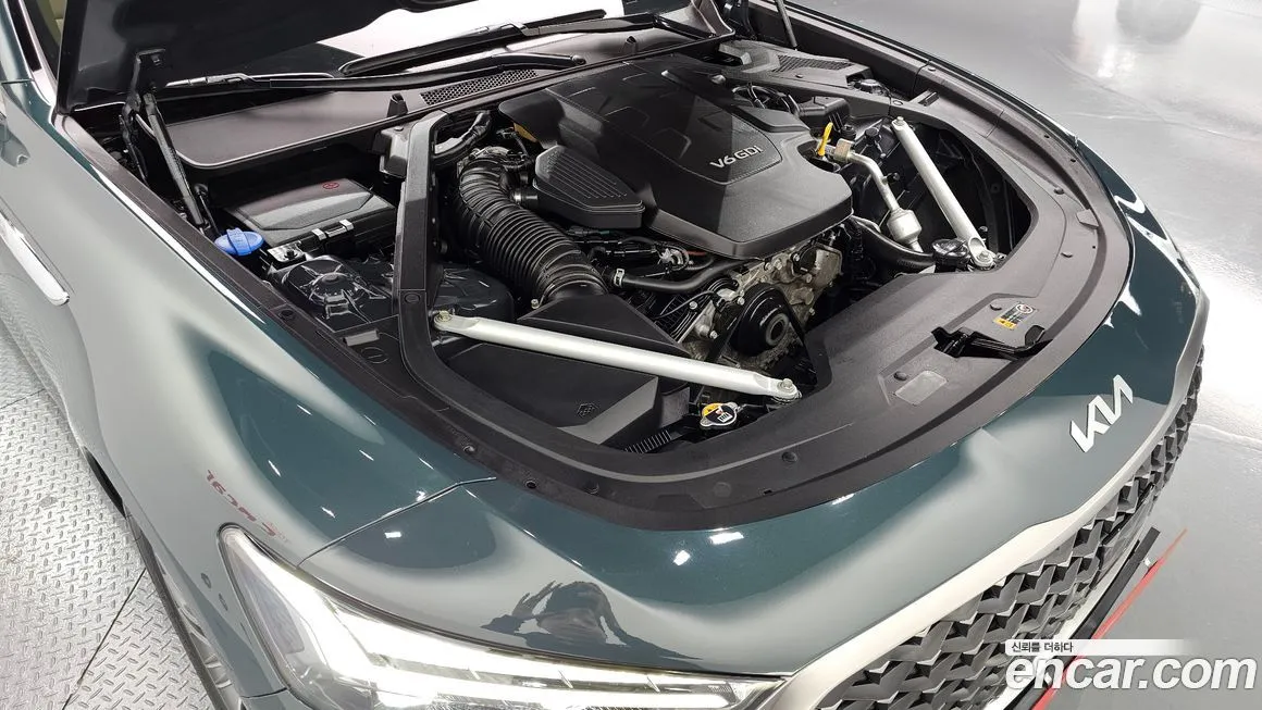 [object Object] K9 2023 из KR, фото 6