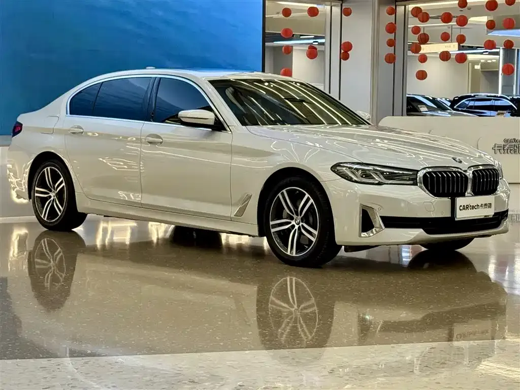 BMW 5 Series 2021 из CN, фото 2