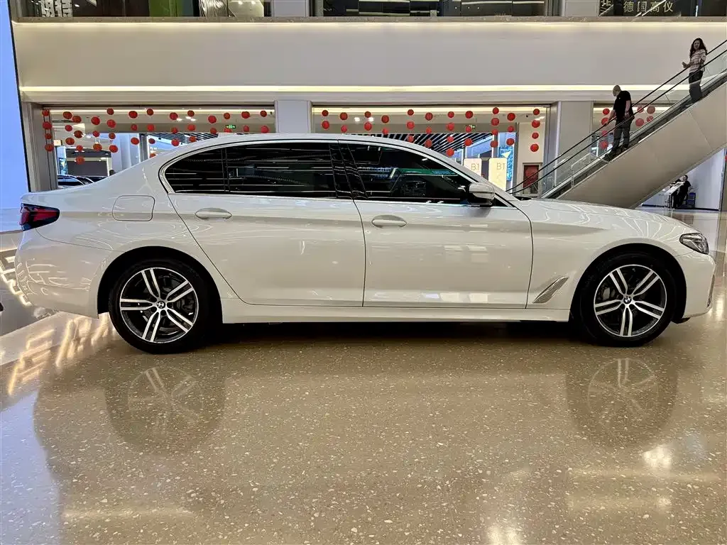 BMW 5 Series 2021 из CN, фото 4