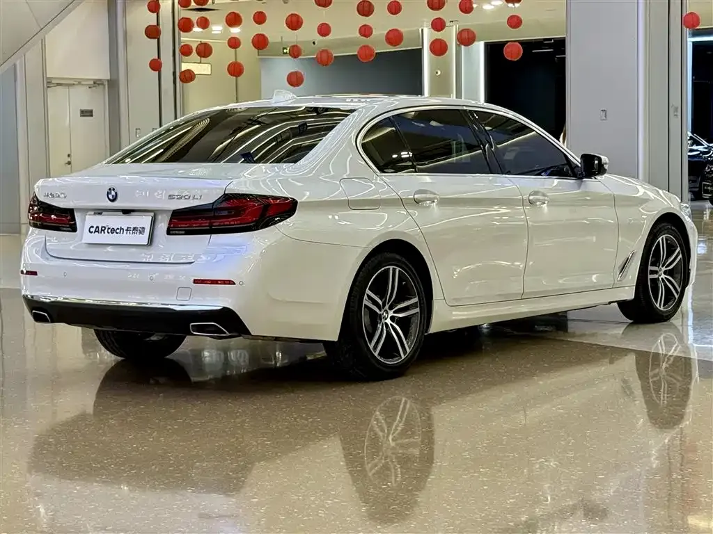 BMW 5 Series 2021 из CN, фото 5
