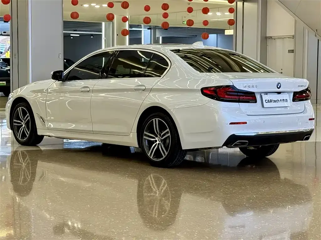 BMW 5 Series 2021 из CN, фото 7