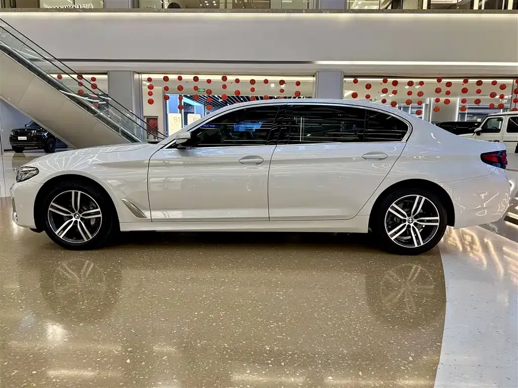 BMW 5 Series 2021 из CN, фото 8