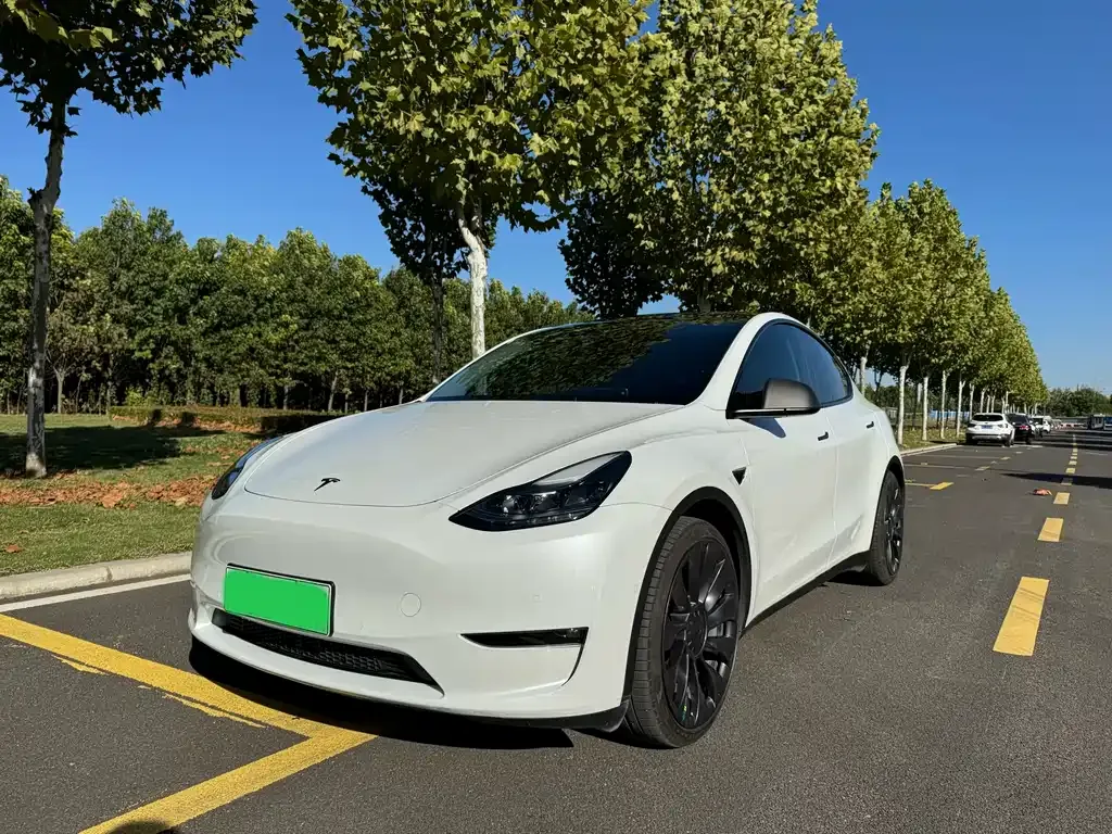 Tesla Model Y 2022 из CN, фото 1