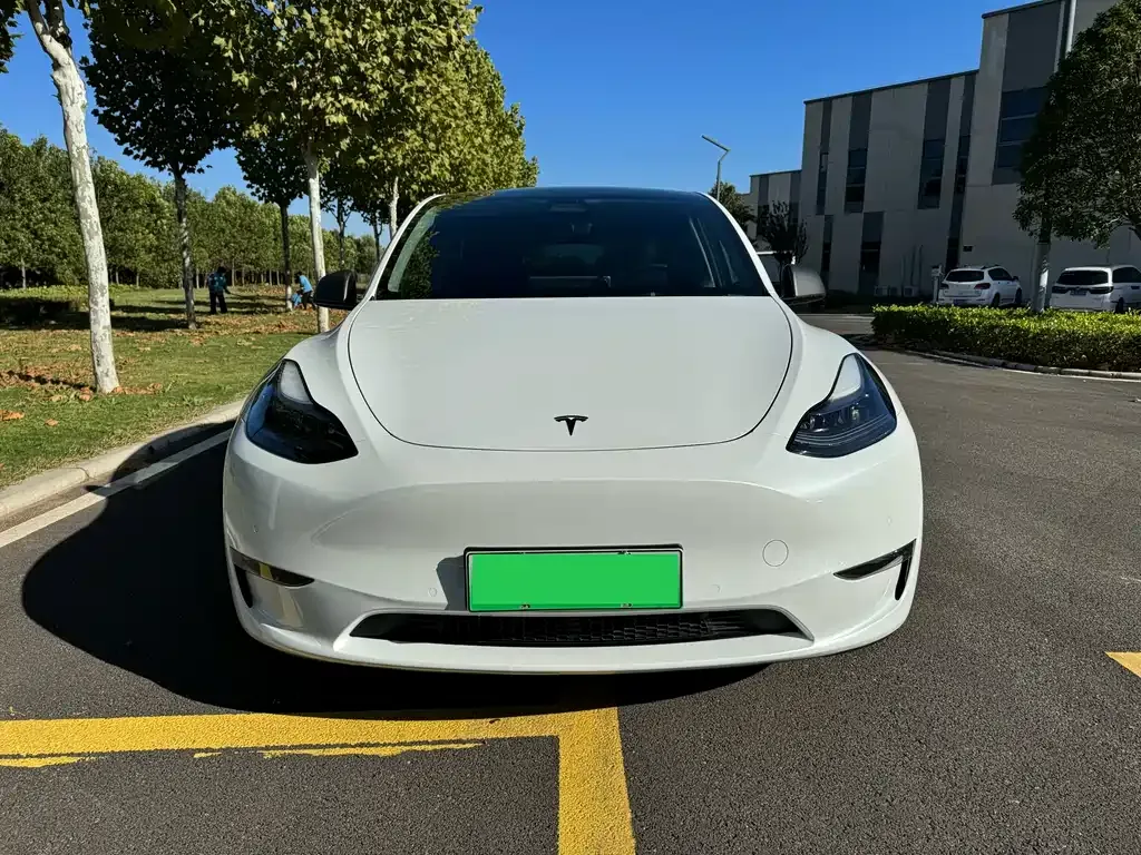 Tesla Model Y 2022 из CN, фото 2
