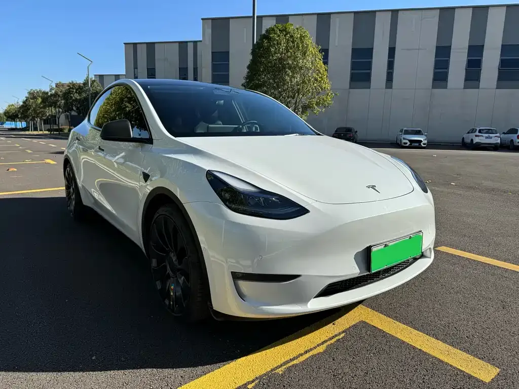 Tesla Model Y 2022 из CN, фото 3