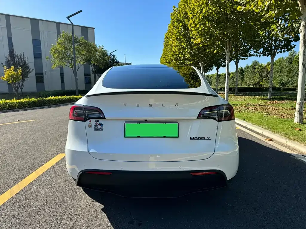 Tesla Model Y 2022 из CN, фото 5