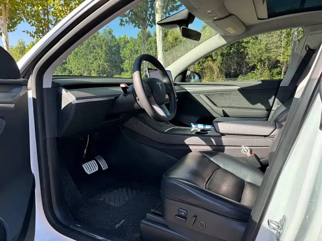 Tesla Model Y 2022 из CN, фото 6