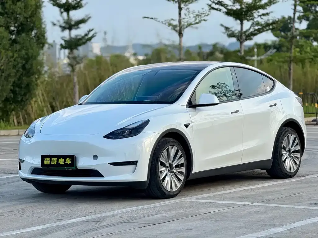 Tesla Model Y 2021 из CN, фото 1