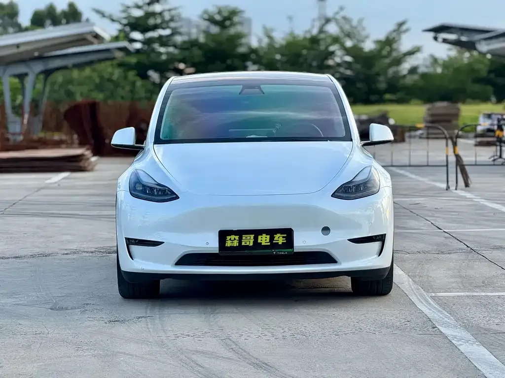 Tesla Model Y 2021 из CN, фото 2