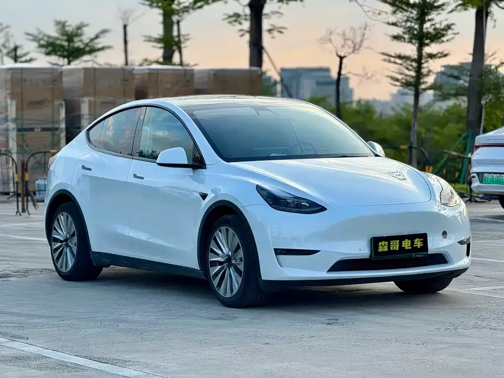 Tesla Model Y 2021 из CN, фото 3