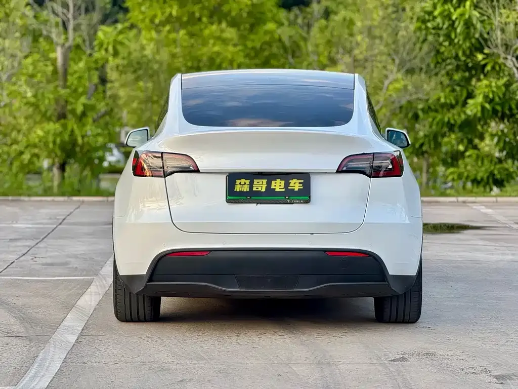 Tesla Model Y 2021 из CN, фото 4