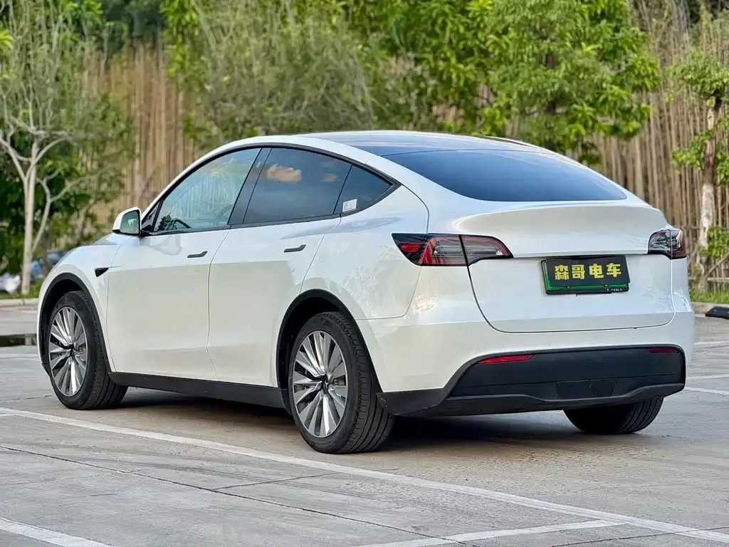Tesla Model Y 2021 из CN, фото 5