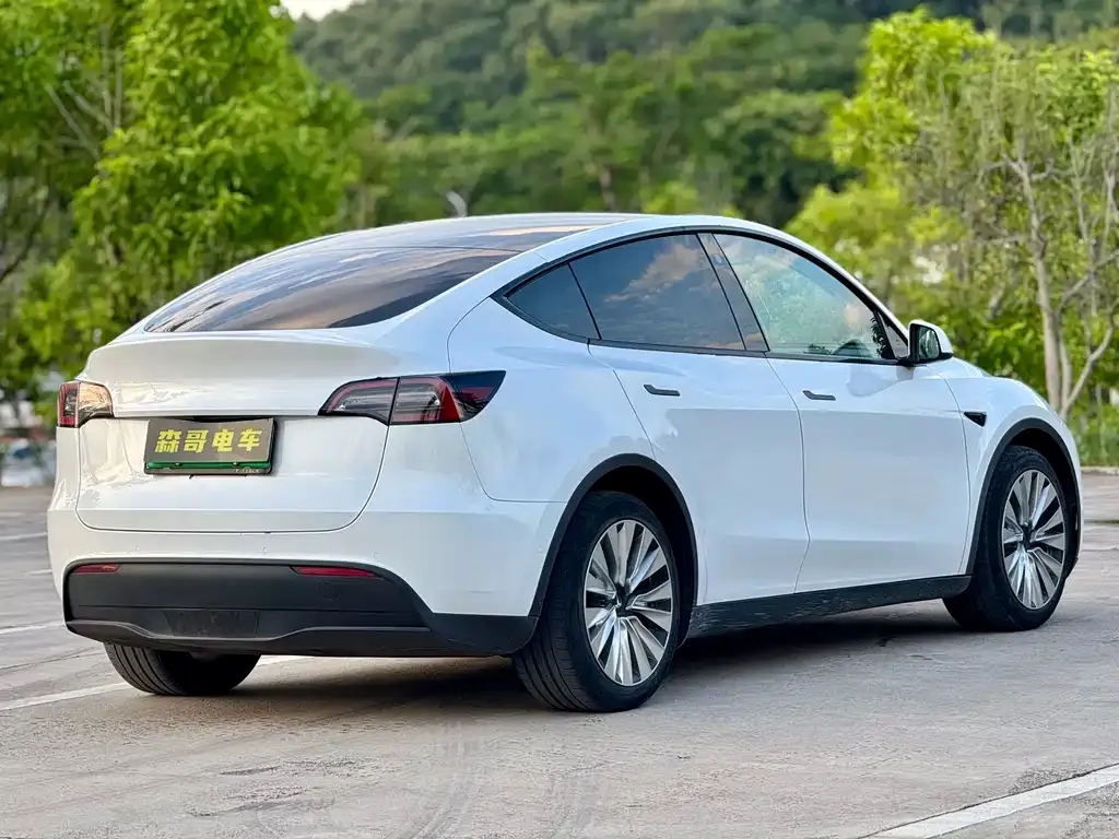 Tesla Model Y 2021 из CN, фото 6