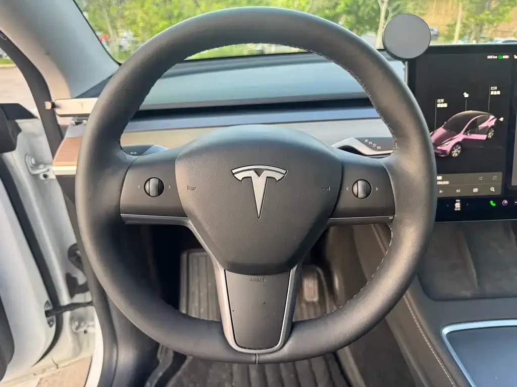 Tesla Model Y 2021 из CN, фото 9