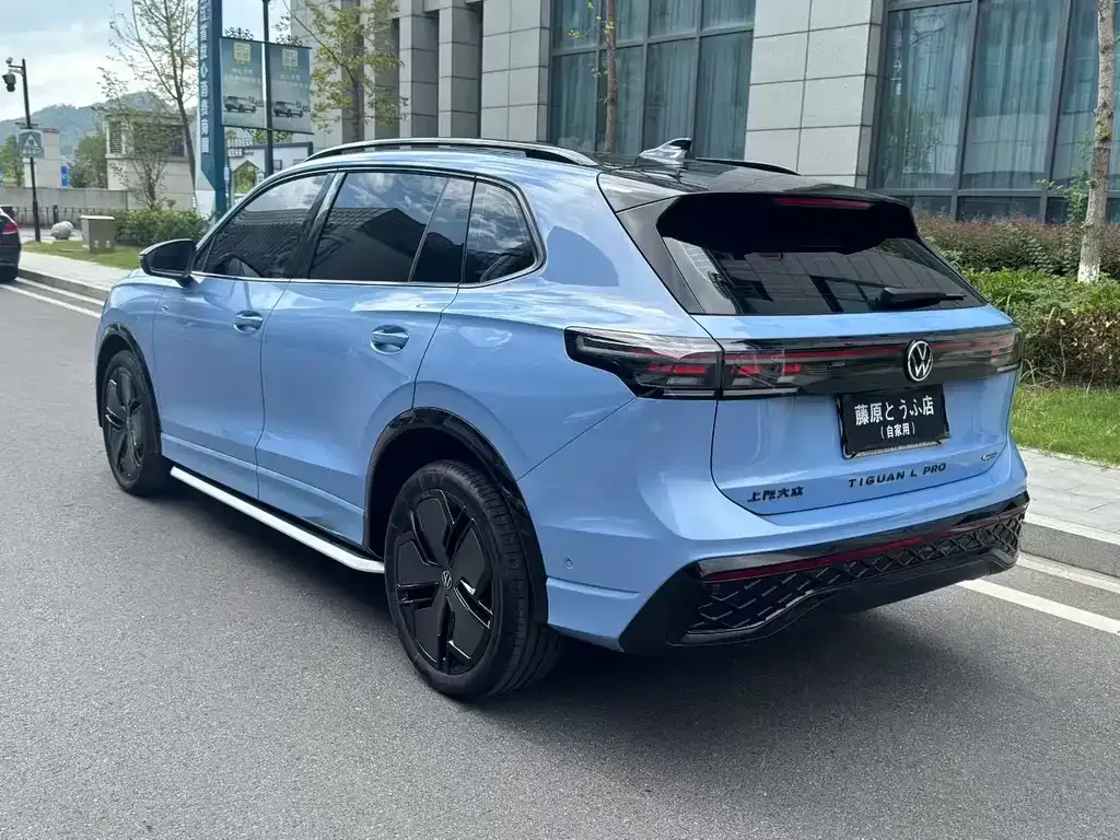 Volkswagen Tiguan L 2024 из CN, фото 9