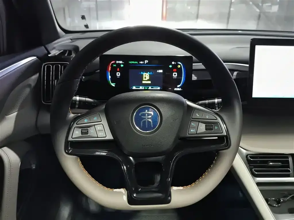 BYD Pro New Energy 2023 из CN, фото 10