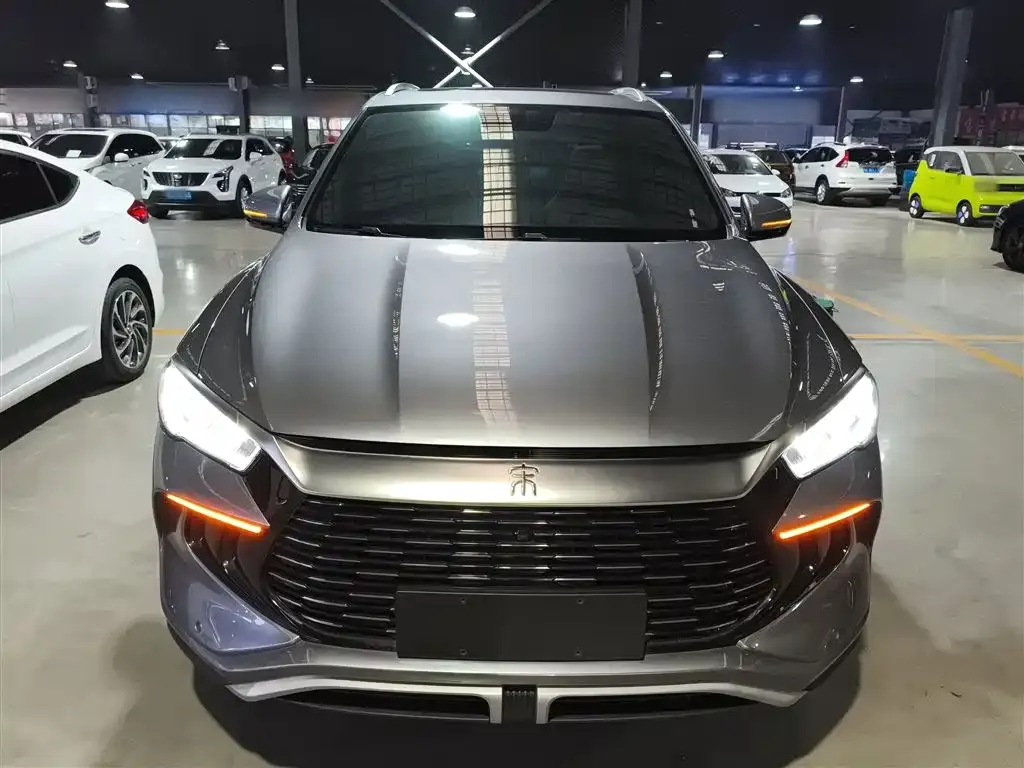 BYD Pro New Energy 2023 из CN, фото 3