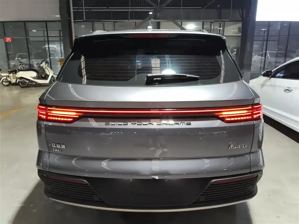 BYD Pro New Energy 2023 из CN, фото 5