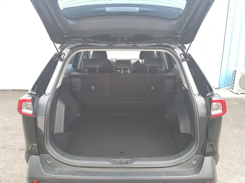 Toyota Wildlander 2024 из CN, фото 9