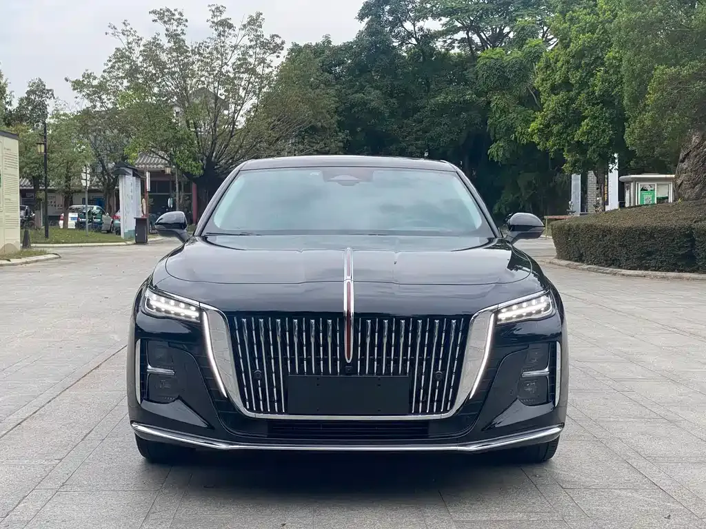 Hongqi H5 2024 из CN, фото 2