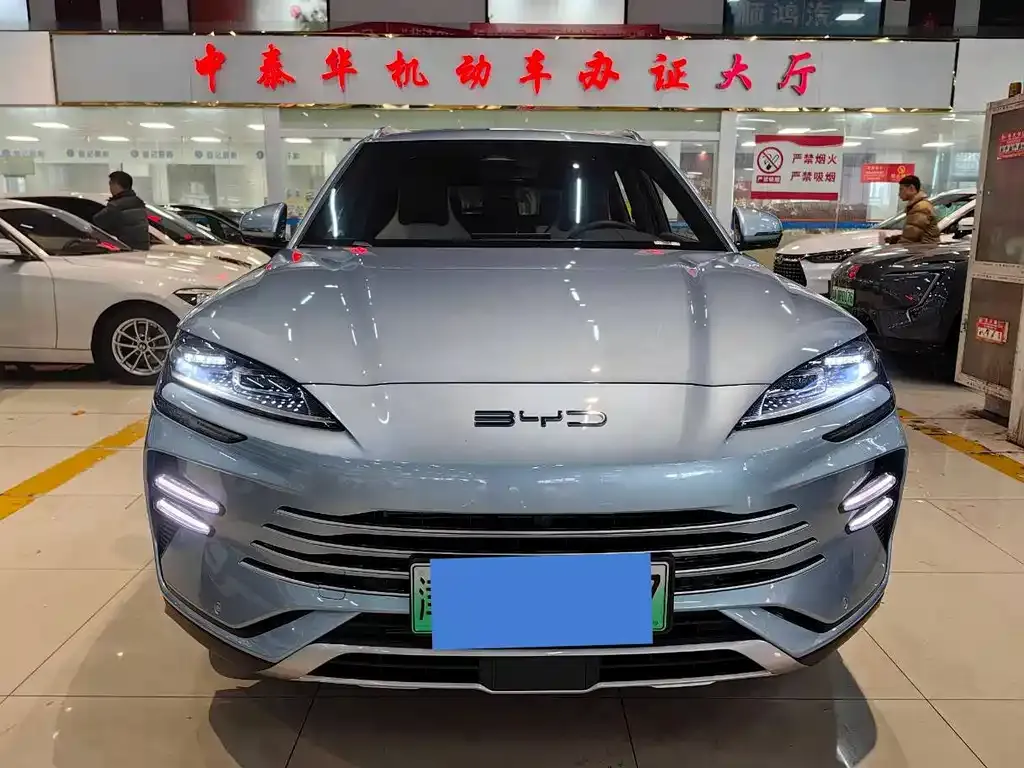 BYD PLUS New Energy 2024 из CN, фото 2