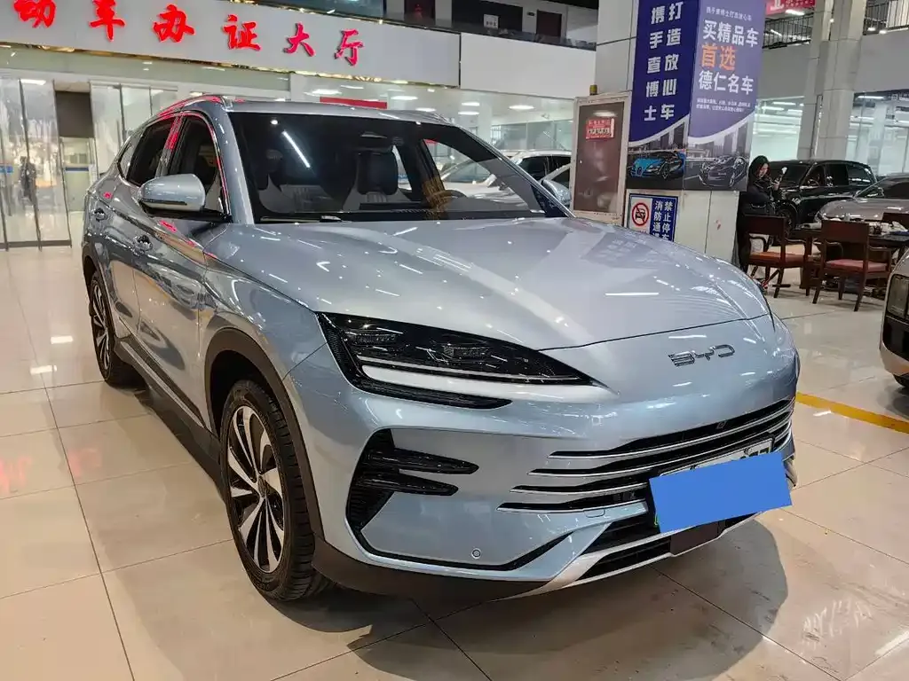 BYD PLUS New Energy 2024 из CN, фото 3