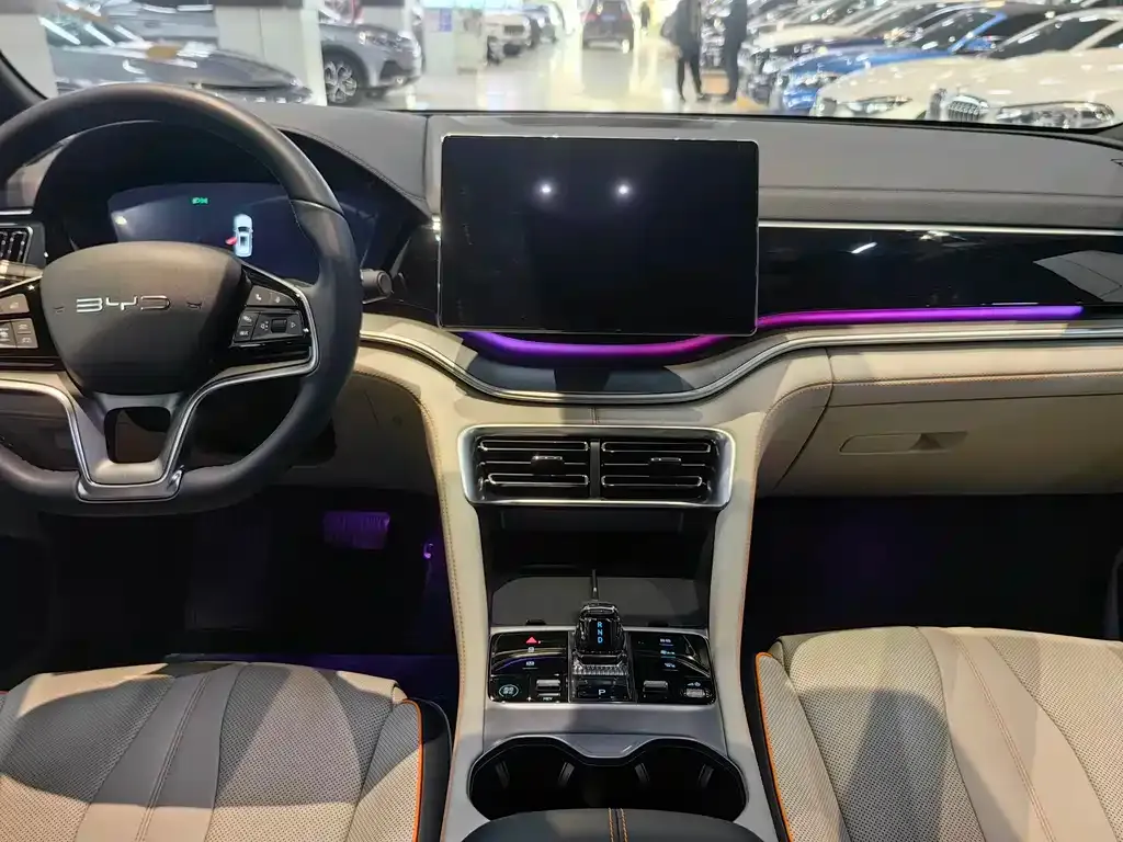 BYD PLUS New Energy 2024 из CN, фото 4