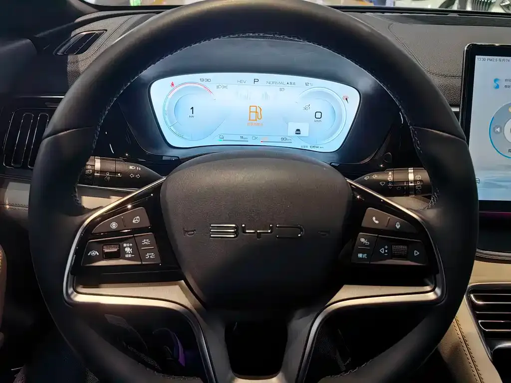 BYD PLUS New Energy 2024 из CN, фото 5