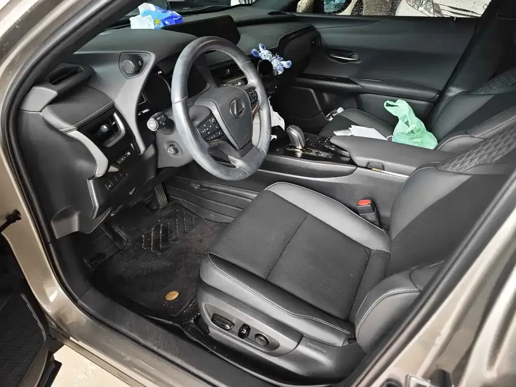 Lexus UX New Energy 2023 из CN, фото 3