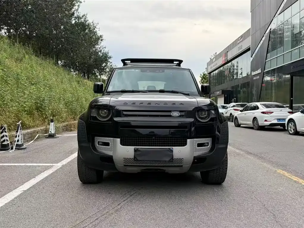 Land Rover Defender 2021 из CN, фото 2