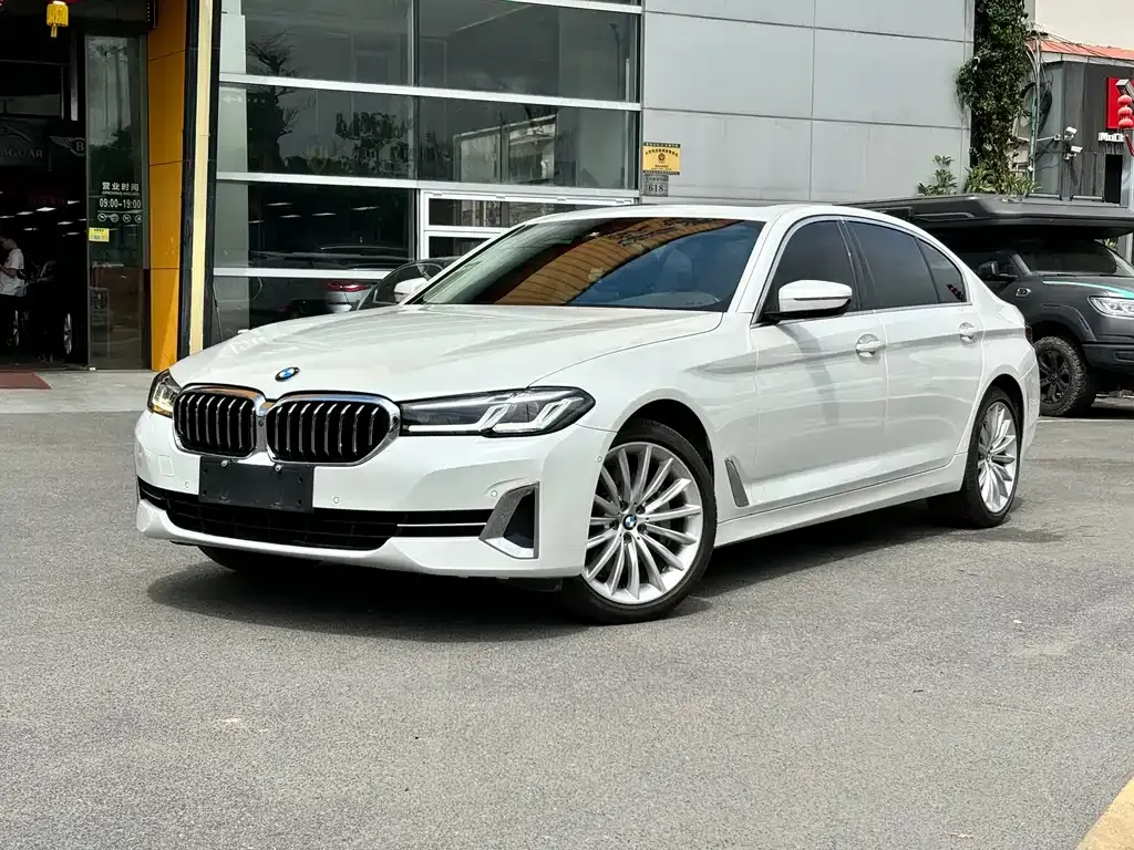 BMW 5 Series 2022 из CN, фото 1