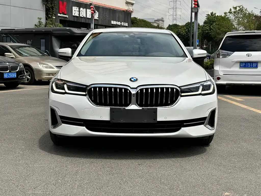 BMW 5 Series 2022 из CN, фото 2