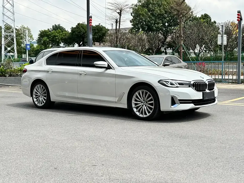 BMW 5 Series 2022 из CN, фото 3