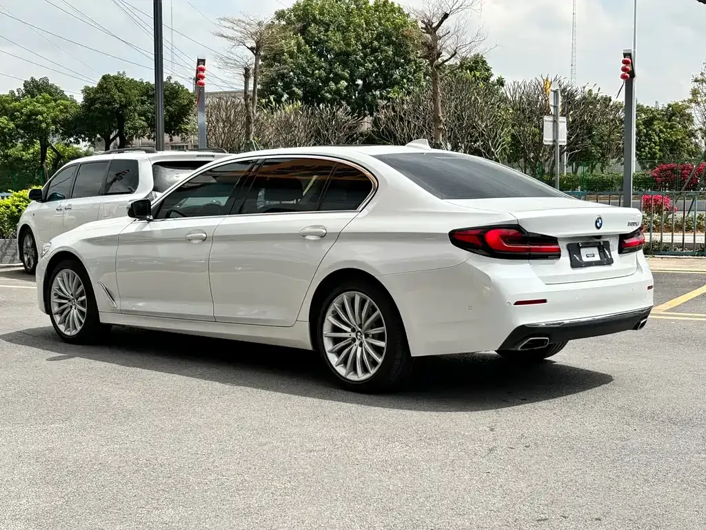 BMW 5 Series 2022 из CN, фото 6