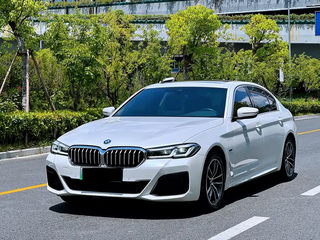BMW 5 Series New Energy 2023 из CN, фото 1