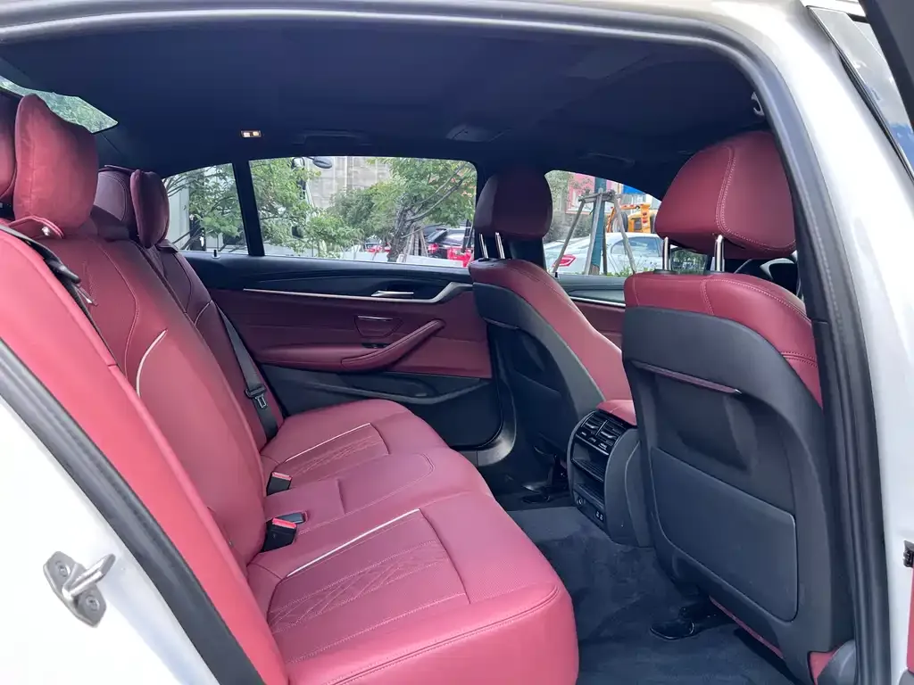 BMW 5 Series New Energy 2023 из CN, фото 10