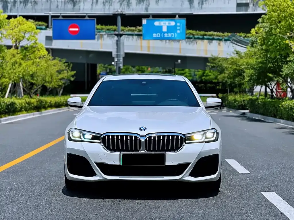 BMW 5 Series New Energy 2023 из CN, фото 2