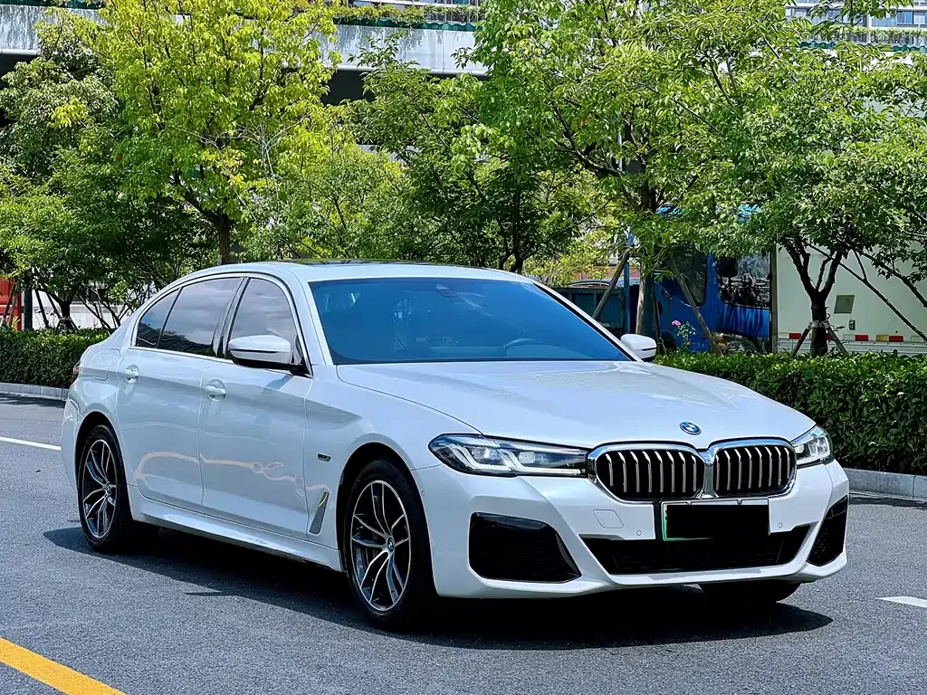 BMW 5 Series New Energy 2023 из CN, фото 3