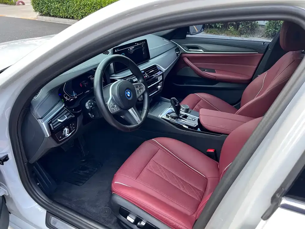 BMW 5 Series New Energy 2023 из CN, фото 4