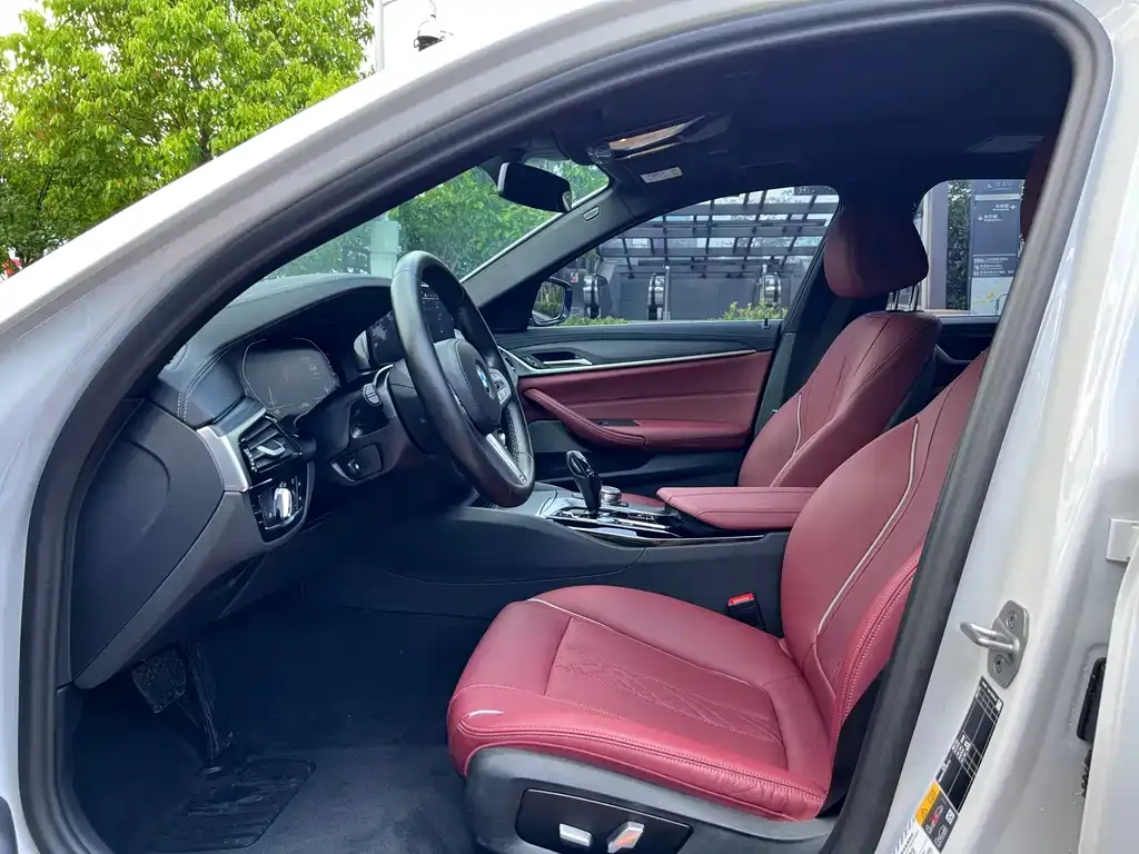 BMW 5 Series New Energy 2023 из CN, фото 5