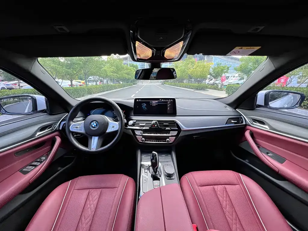 BMW 5 Series New Energy 2023 из CN, фото 7