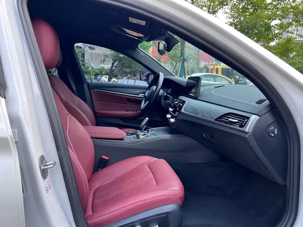 BMW 5 Series New Energy 2023 из CN, фото 9