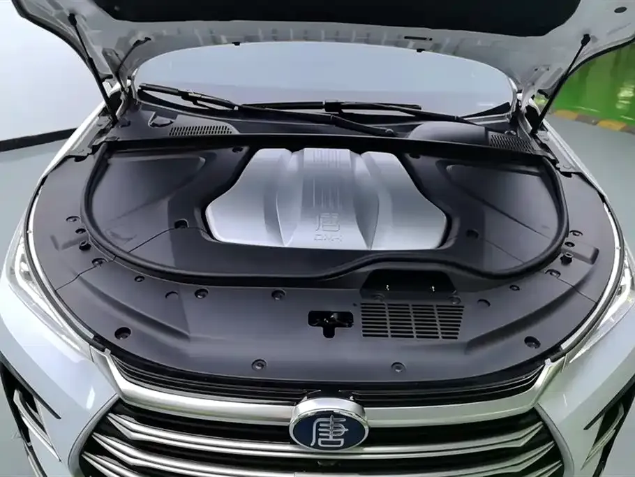 BYD Tang New Energy 2023 из CN, фото 10