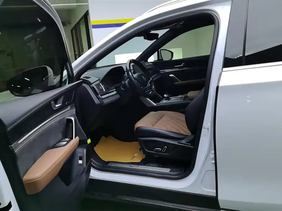 BYD Tang New Energy 2023 из CN, фото 9