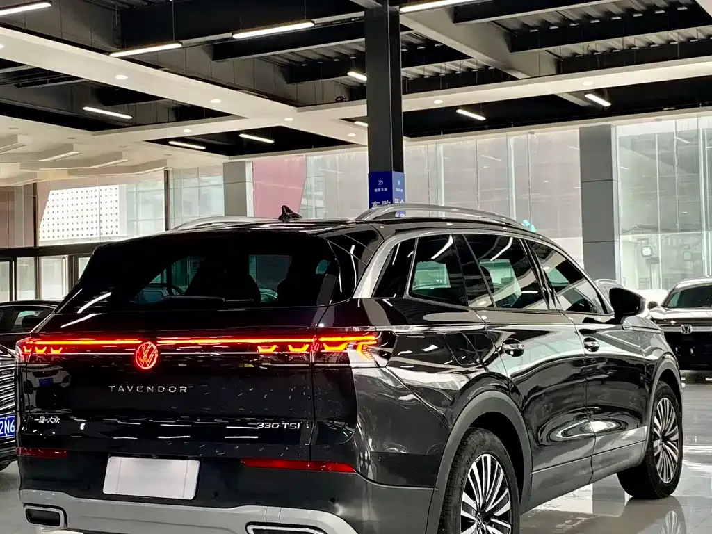 Volkswagen Tavendor 2023 из CN, фото 9