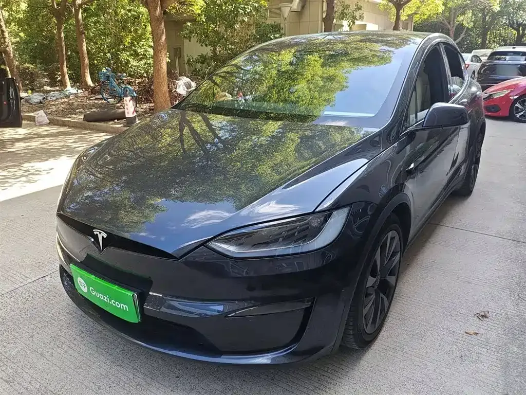 Tesla Model X 2023 из CN, фото 2