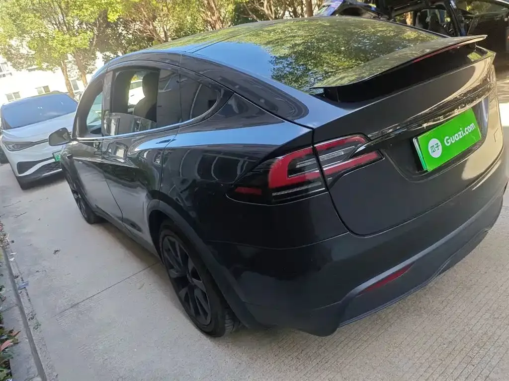 Tesla Model X 2023 из CN, фото 5